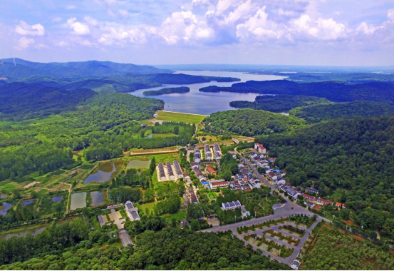 鄉村“著名路”，全椒這樣行